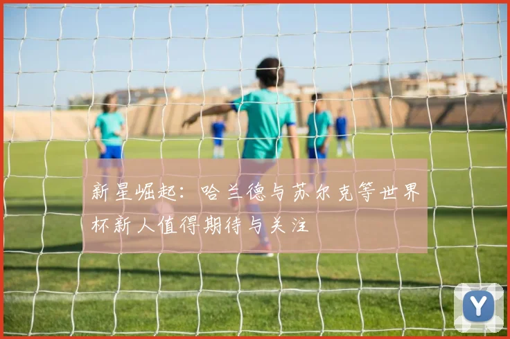 新星崛起：哈兰德与苏尔克等世界杯新人值得期待与关注